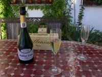 Momentos estelares disfrutando del cava
