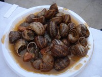 Caracoles de Bar El Priorat