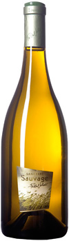 Pascal Jolivet Sauvage