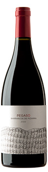Pegaso Barrancos de Pizarra