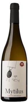 Mytilus