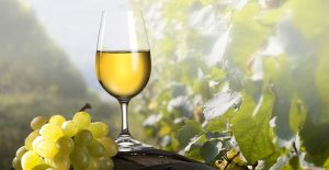 Vinos blancos de la Francia Oriental