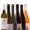 Vinos de Vins L’Apical by elvi.net