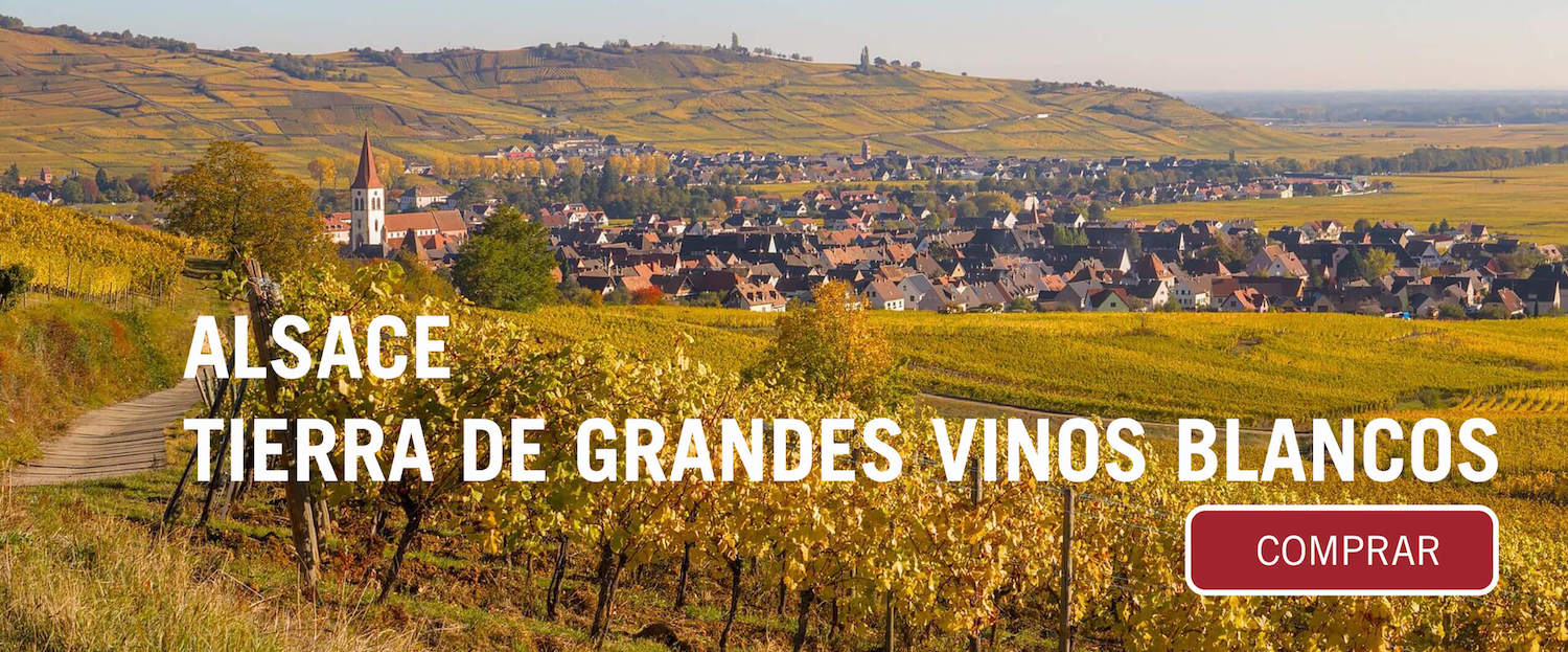 Alsace tierra de grandes vinos blancos en elvi.net