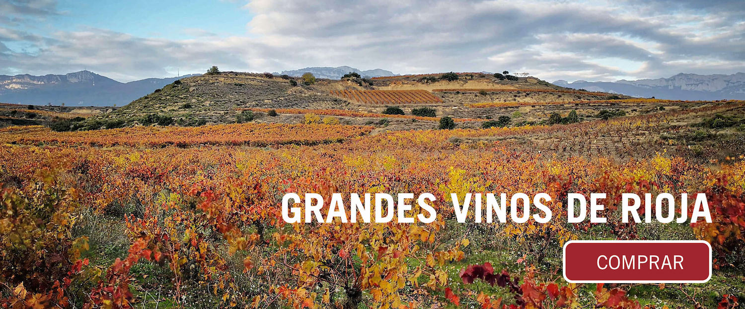 Grandes vinos de Rioja disponibles en elvi.net