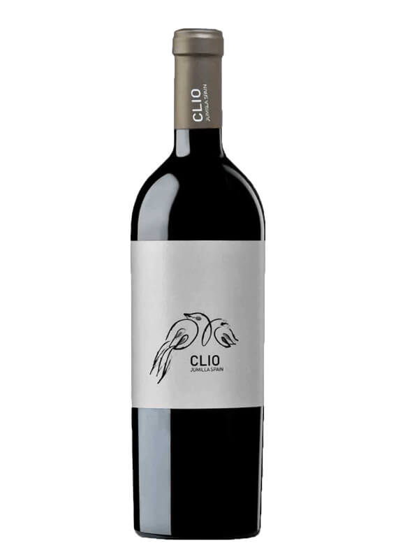 Clio 2018 Magnum by elvi.net