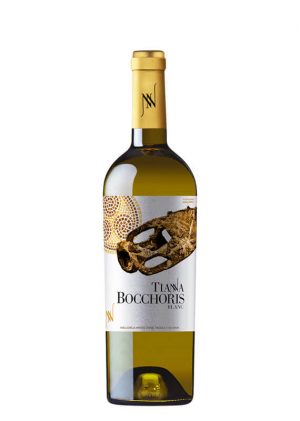 Tianna Bocchoris Blanc 2017 by elvi.net