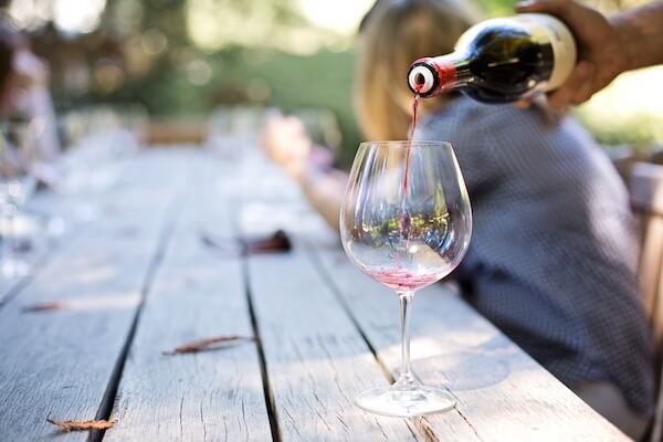 Catas de vinos con elvi.net
