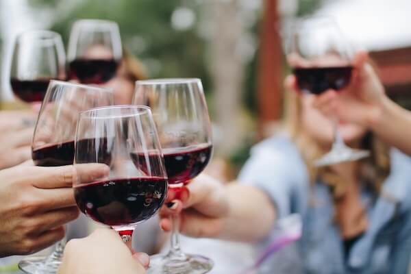 Enoturismo y actividades en bodegas de vinos con elvi.net